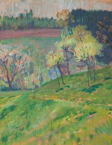 Frutteto in fiore da Jan Preisler